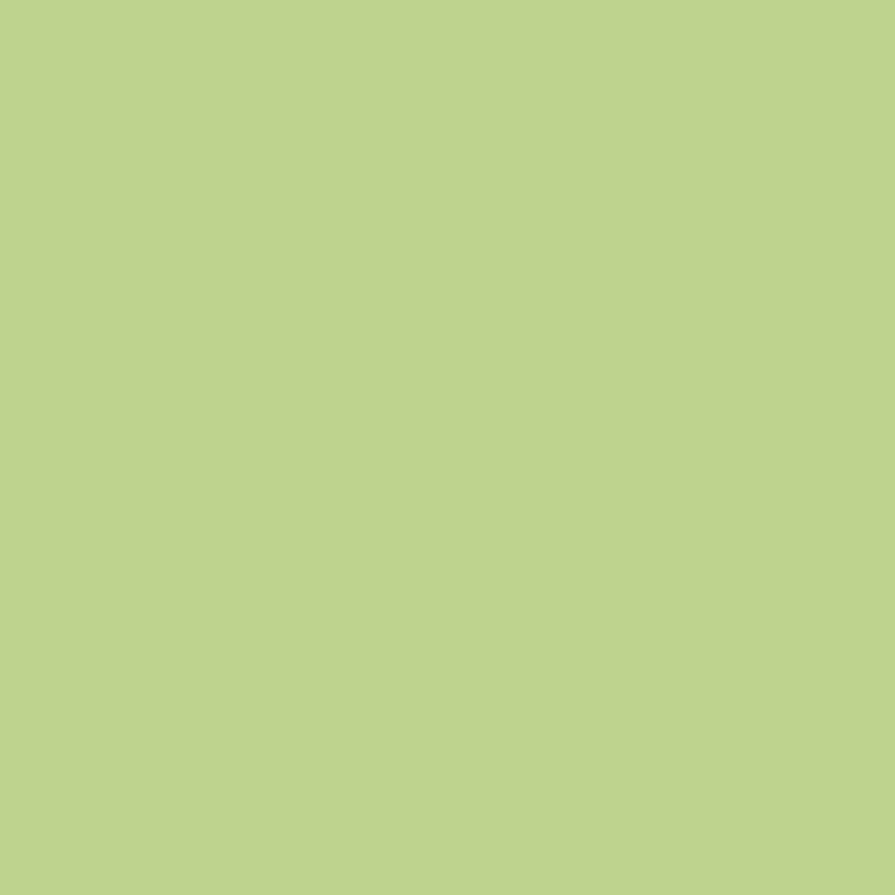 Pantone TPG Sheet 13-0324 Lettuce Green