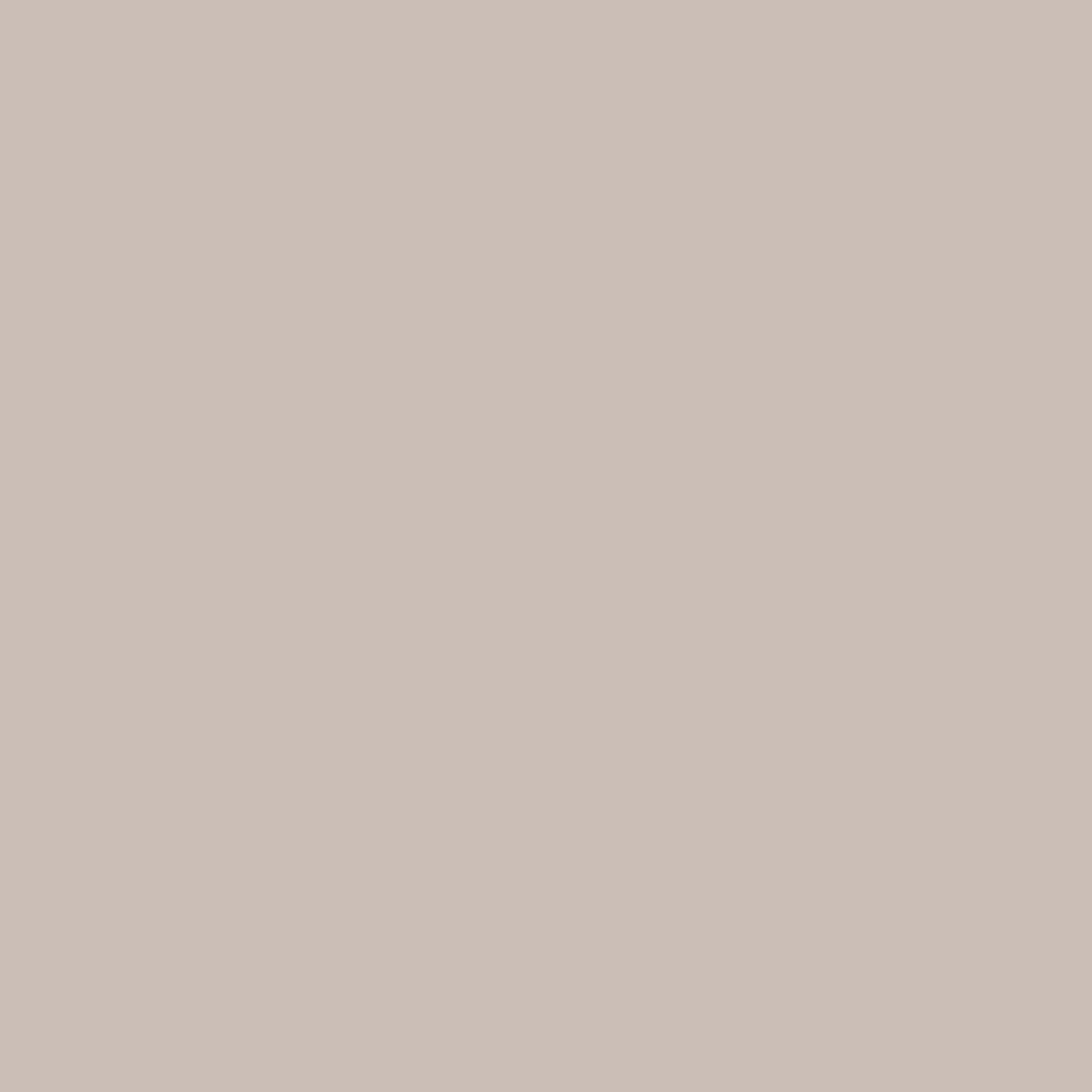 Pantone TPG Sheet 13-0403 Gray Morn