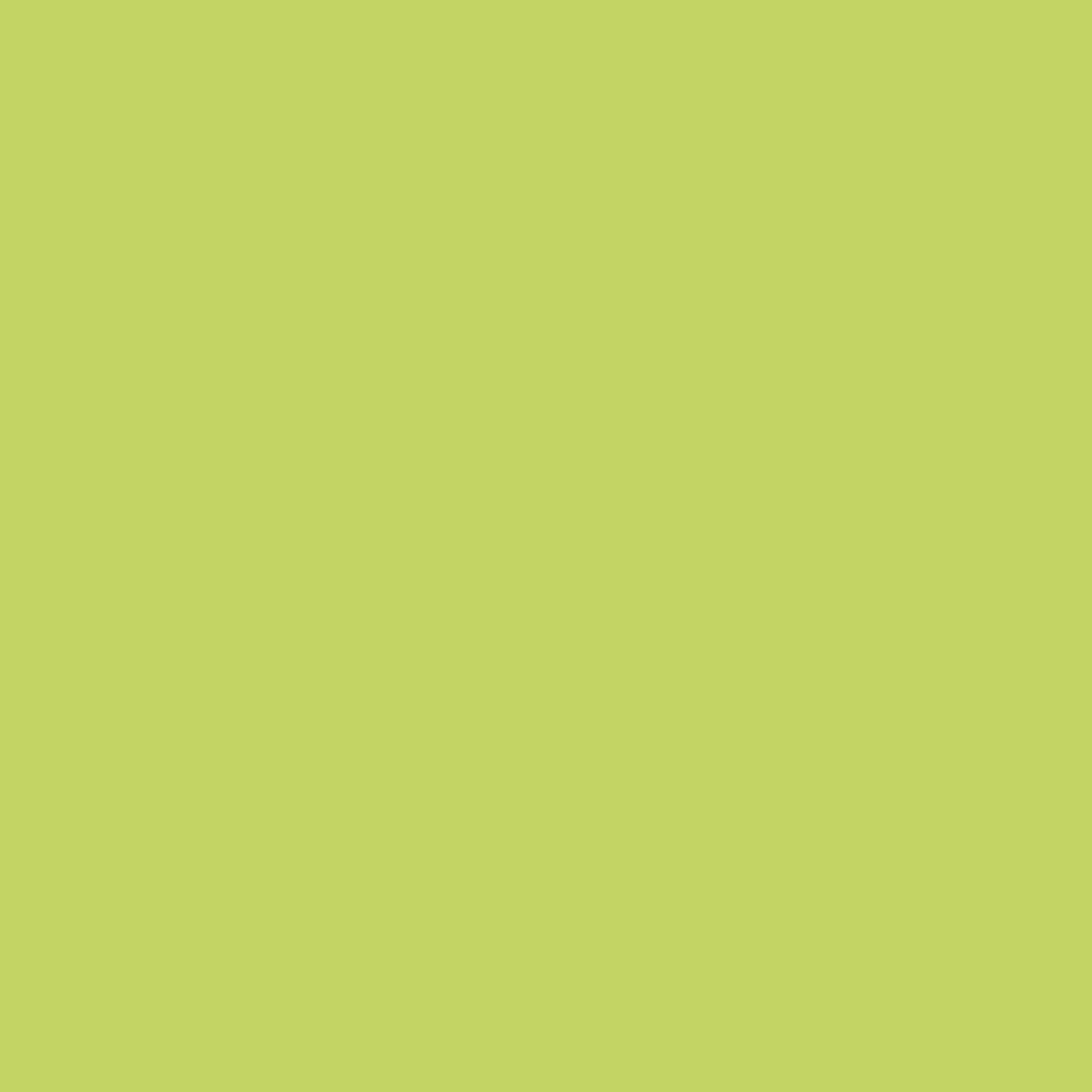 Pantone TPG Sheet 13-0540 Wild Lime