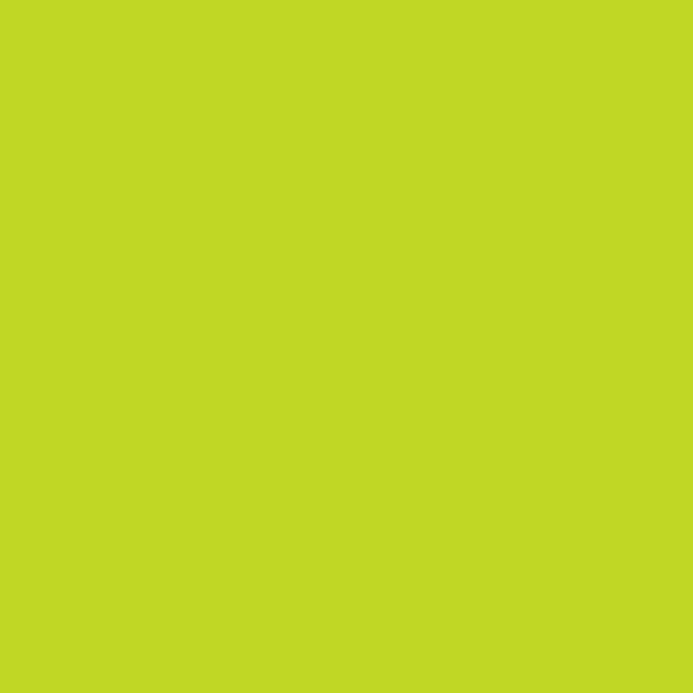 Pantone TPG Sheet 13-0550 Lime Punch