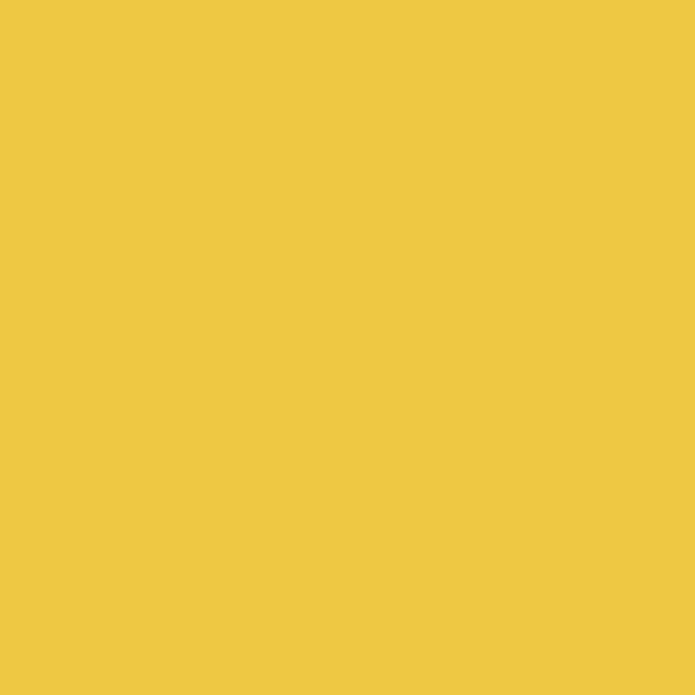 Pantone TPG Sheet 13-0746 Maize