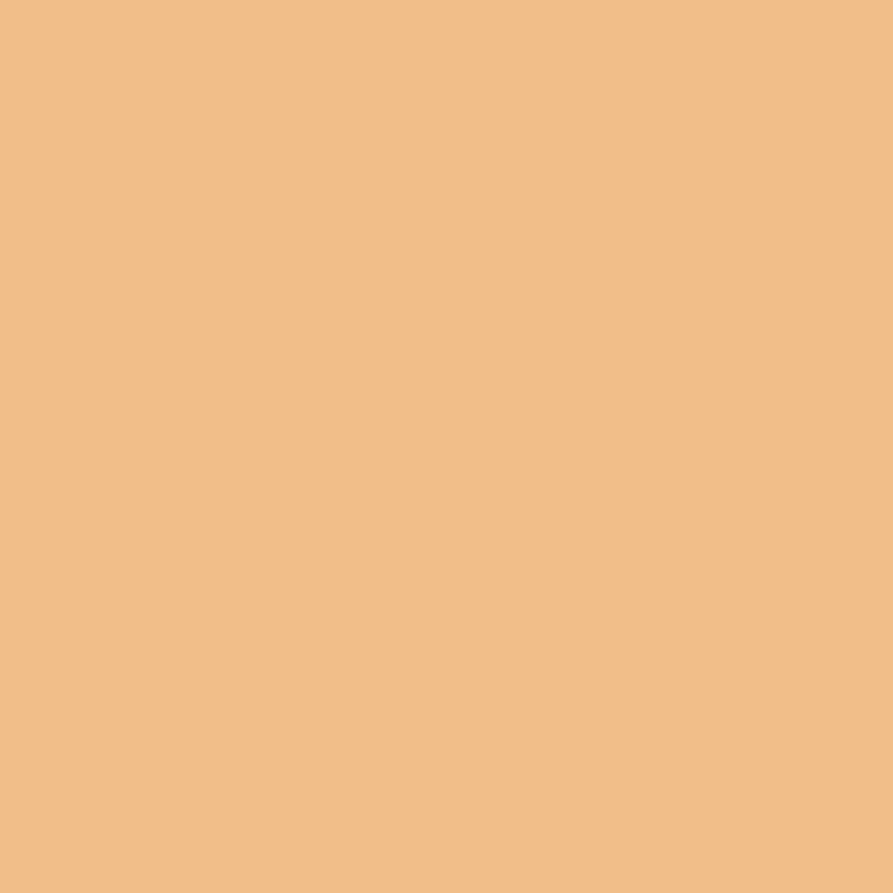 Pantone TPG Sheet 13-1027 Apricot Cream