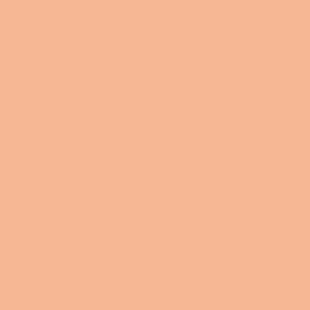 Pantone TPG Sheet 13-1125 Peach Quartz