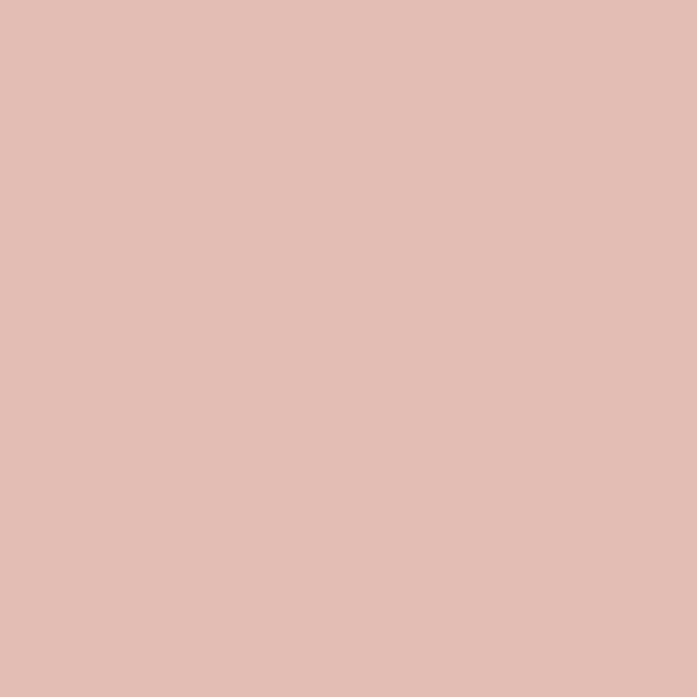 Pantone TPG Sheet 13-1208 Peachy Keen