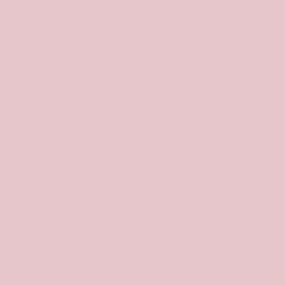 Pantone TPG Sheet 13-1904 Chalk Pink