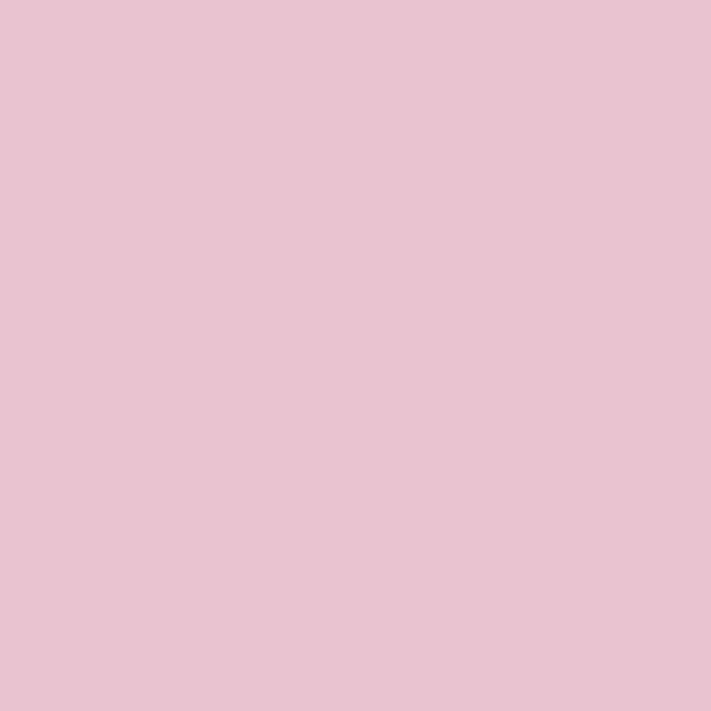 Pantone TPG Sheet 13-2804 Parfait Pink