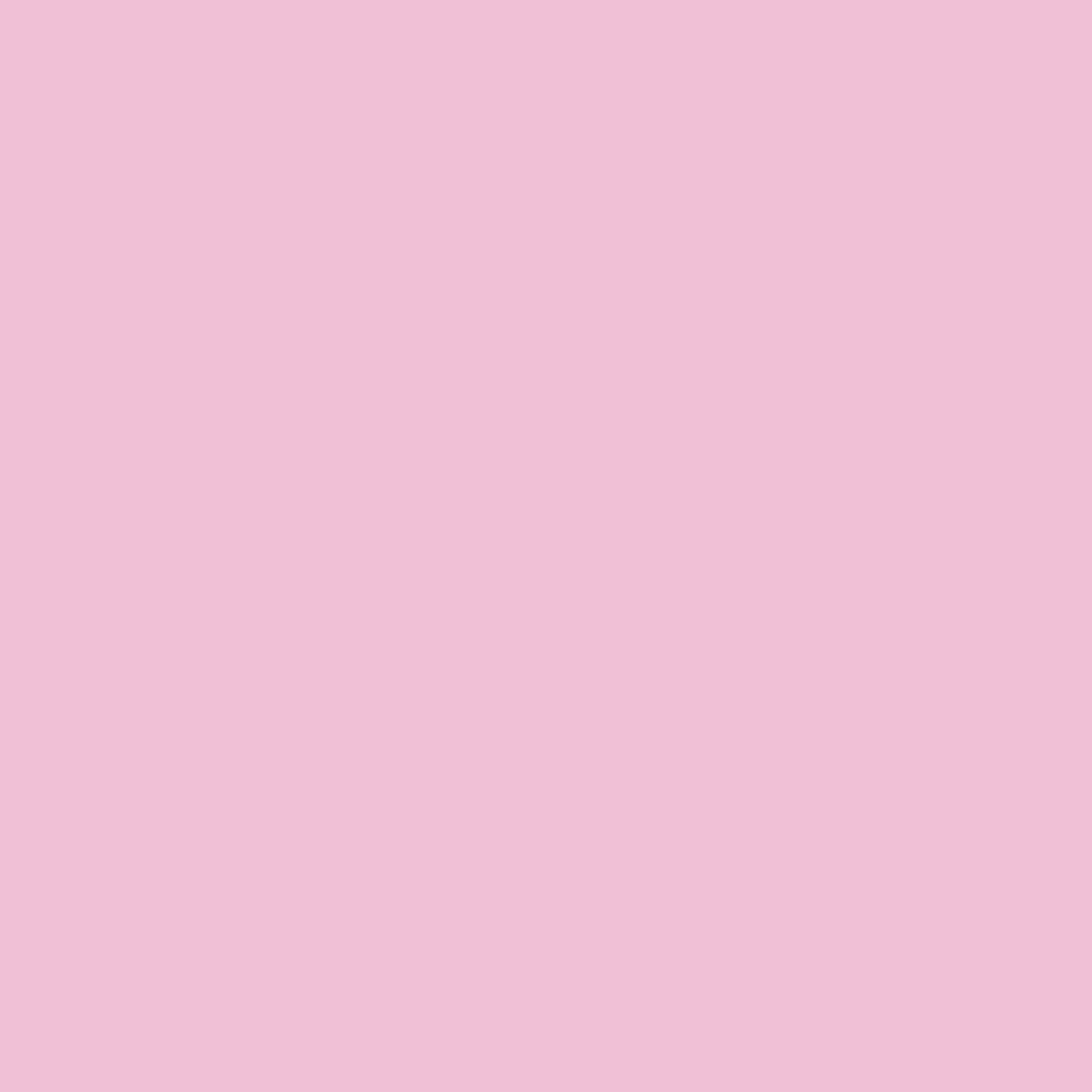 Pantone TPG Sheet 13-2806 Pink Lady
