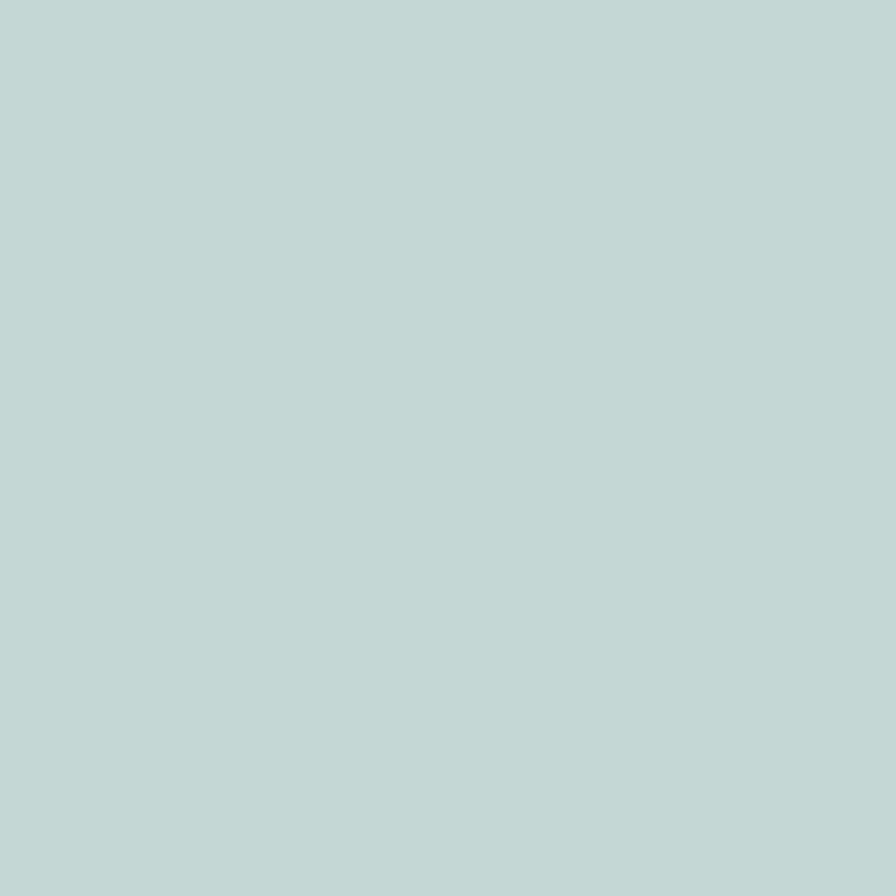 Pantone TPG Sheet 13-4804 Pale Blue