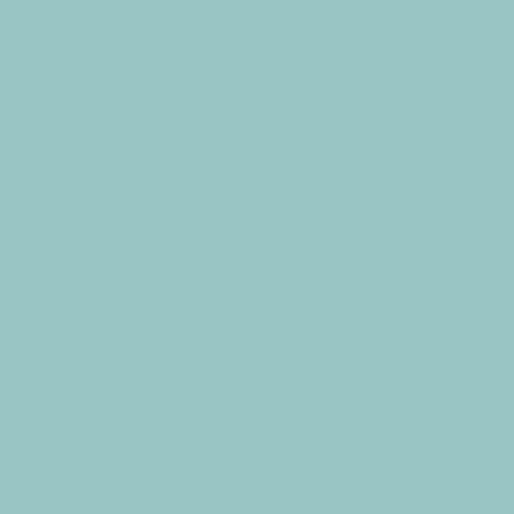 Pantone TPG Sheet 13-5309 Pastel Turquoise