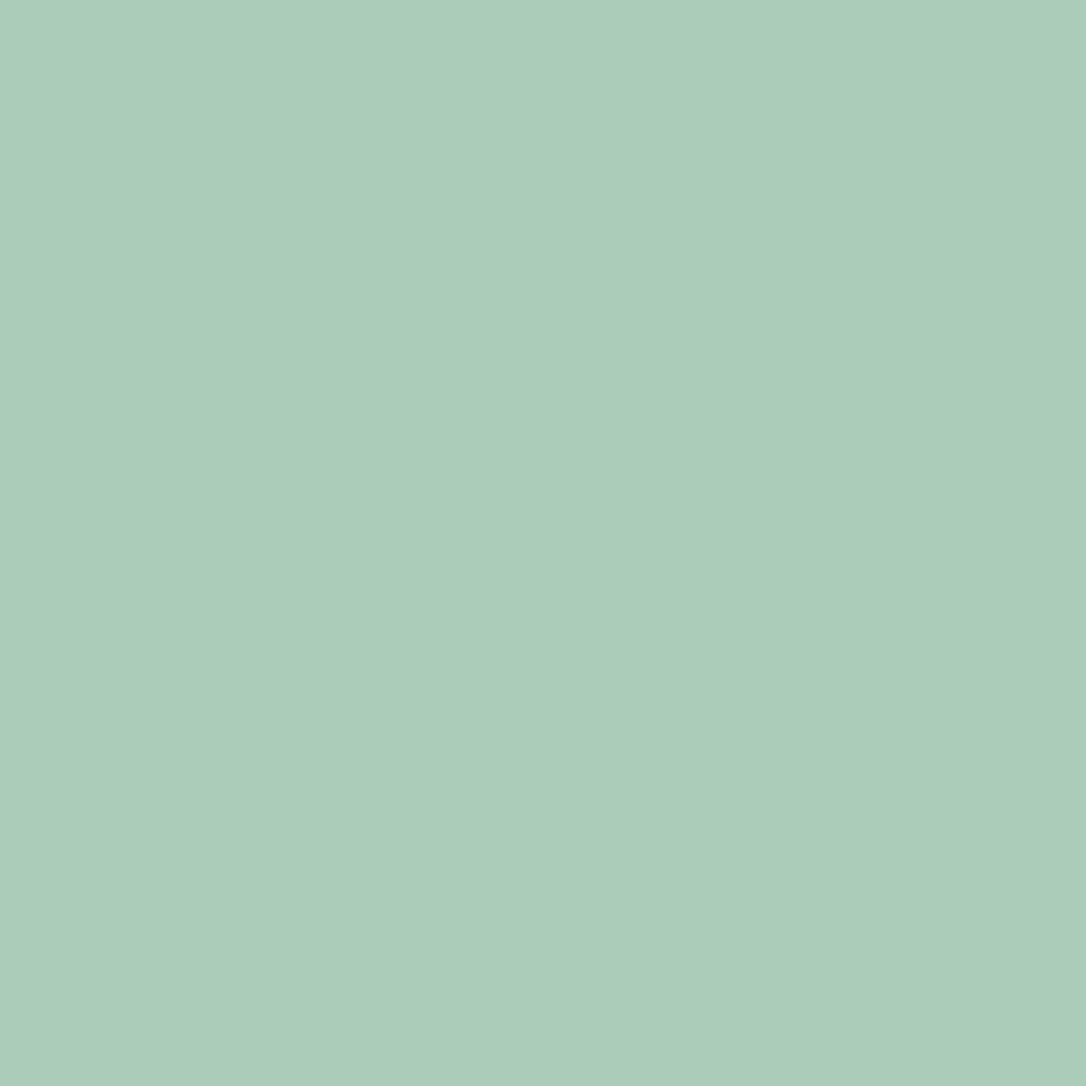 Pantone TPG Sheet 13-5911 Bird's Egg Green