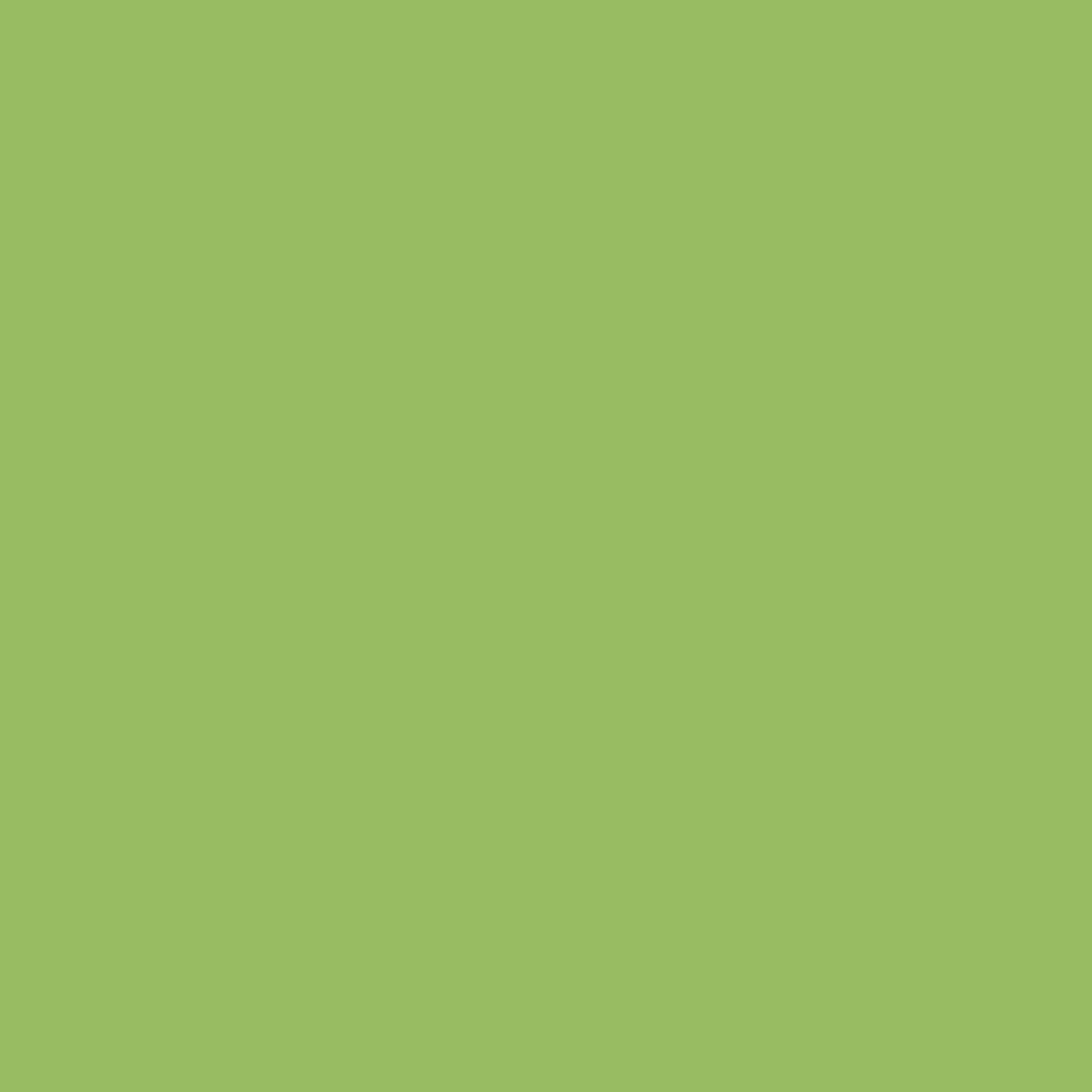 Pantone TPG Sheet 14-0244 Brt Lime Green