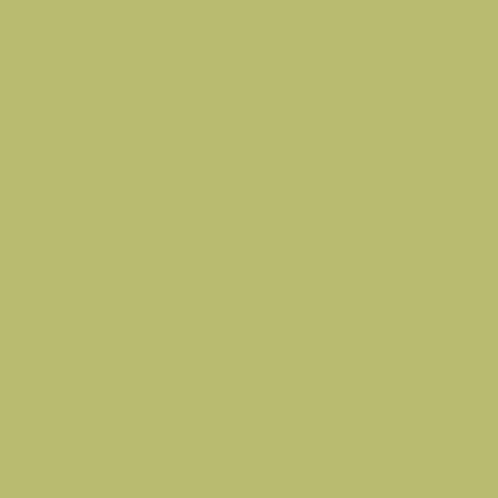 Pantone TPG Sheet 14-0434 Green Banana