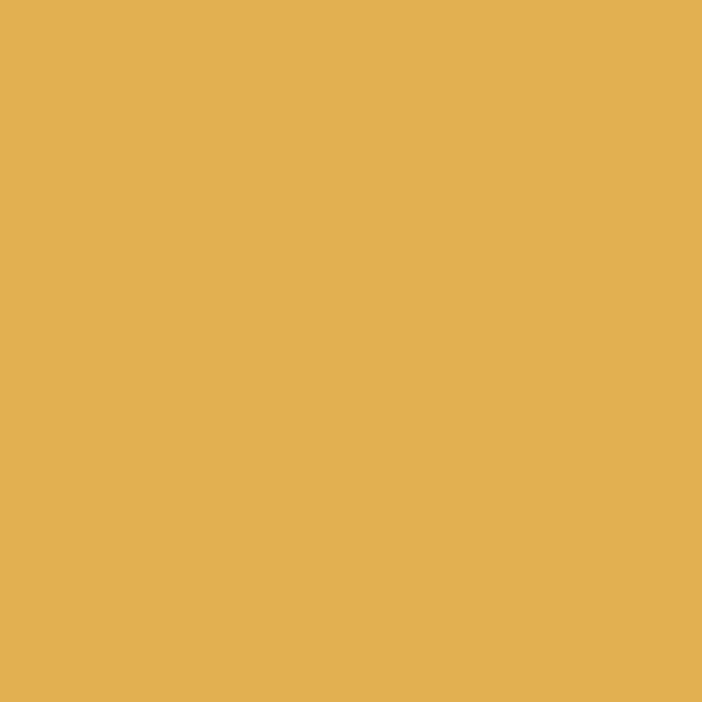 Pantone TPG Sheet 14-0846 Yolk Yellow