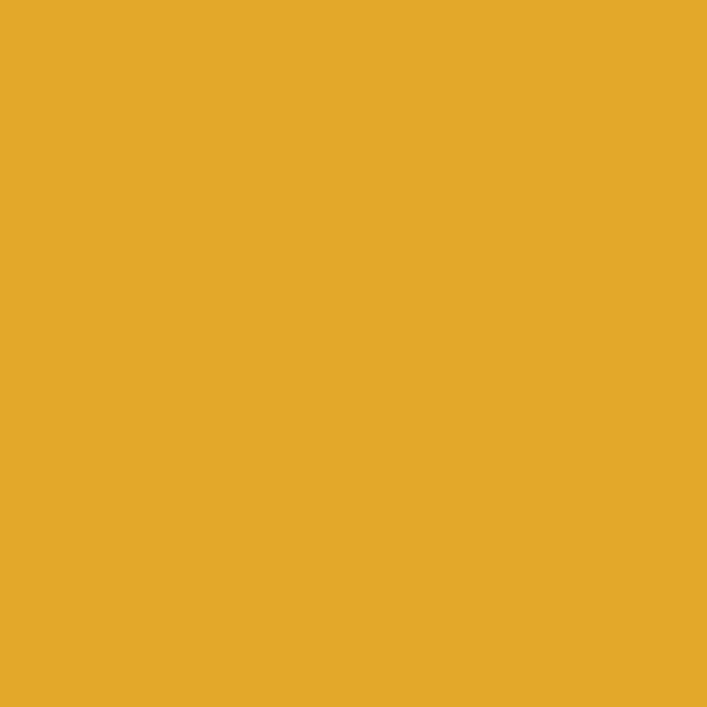 Pantone TPG Sheet 14-0951 Golden Rod