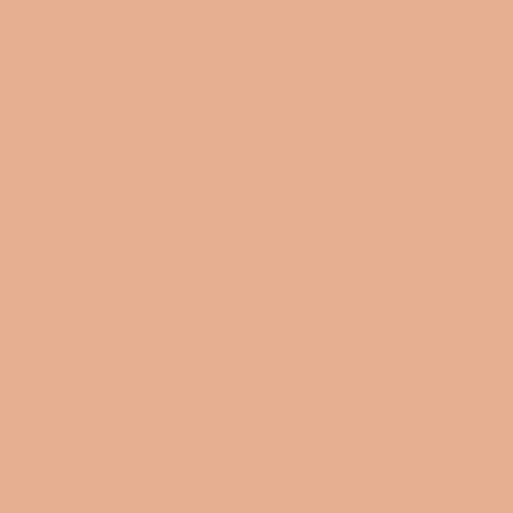 Pantone TPG Sheet 14-1220 Peach Nougat