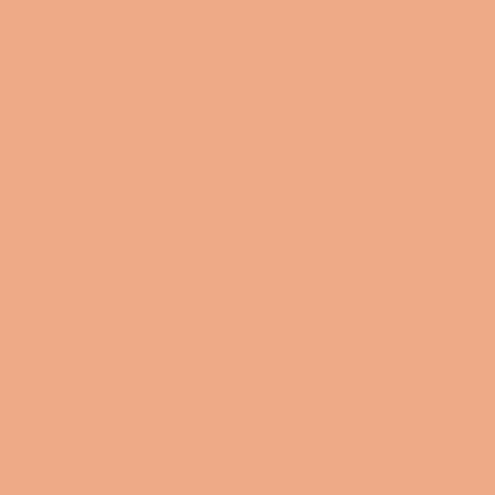 Pantone TPG Sheet 14-1224 Coral Sands