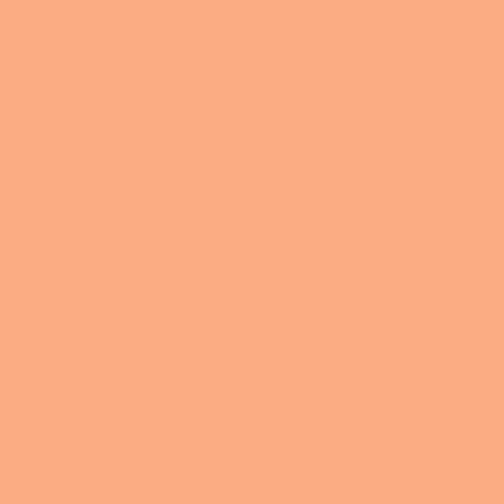 Pantone TPG Sheet 14-1230 Apricot Wash