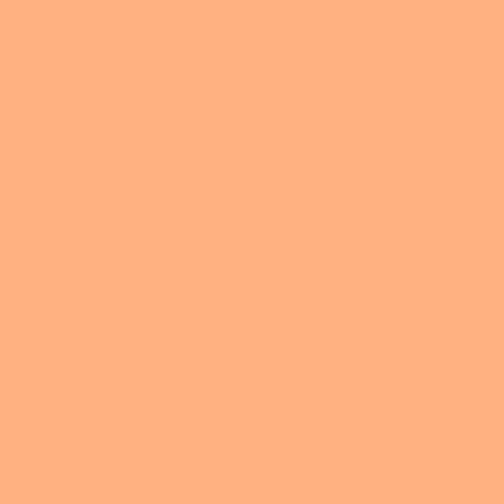 Pantone TPG Sheet 14-1231 Peach Cobbler