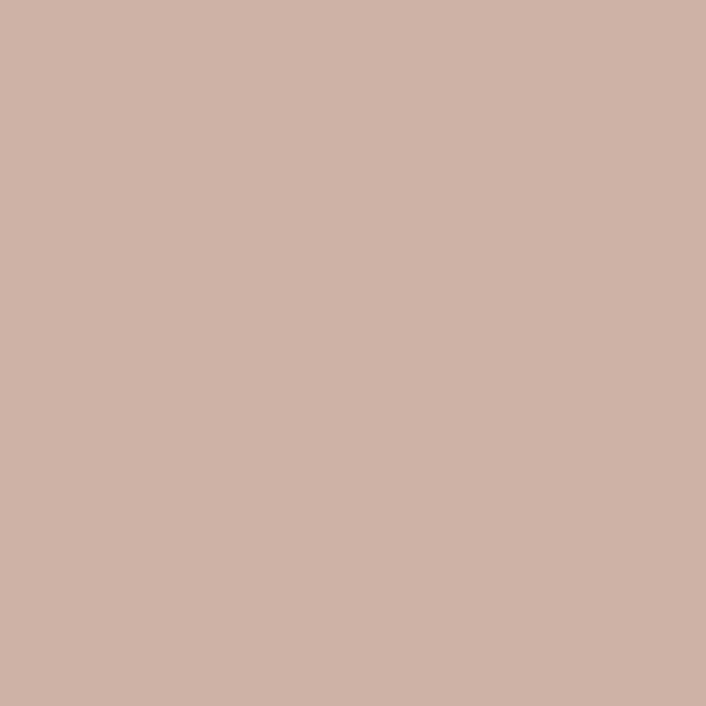 Pantone TPG Sheet 14-1307 Rose Dust