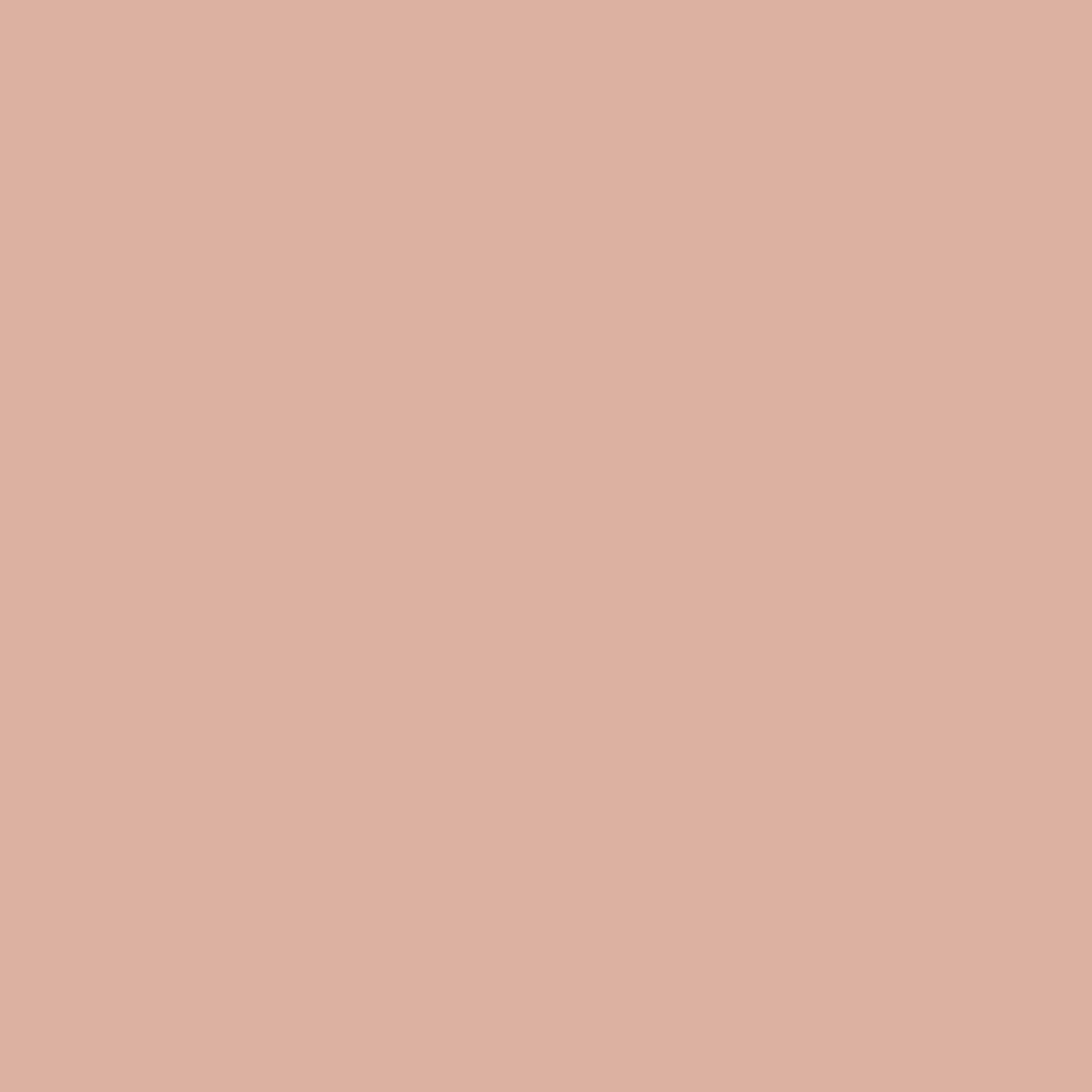 Pantone TPG Sheet 14-1313 Rose Cloud