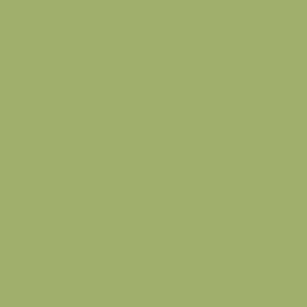 Pantone TPG Sheet 15-0332 Leaf Green