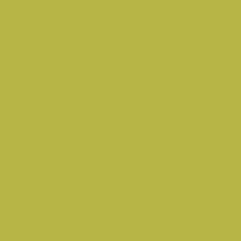 Pantone TPG Sheet 15-0543 Apple Green