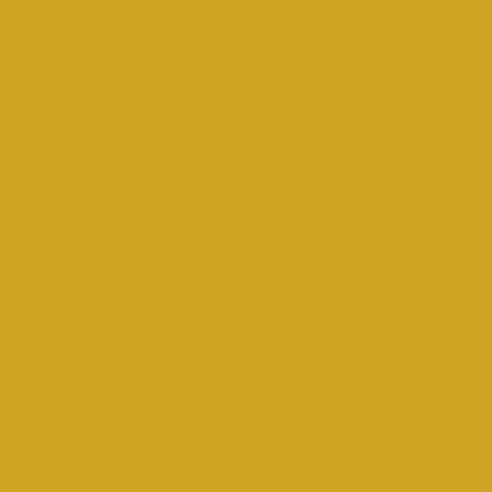 Pantone TPG Sheet 15-0751 Lemon Curry