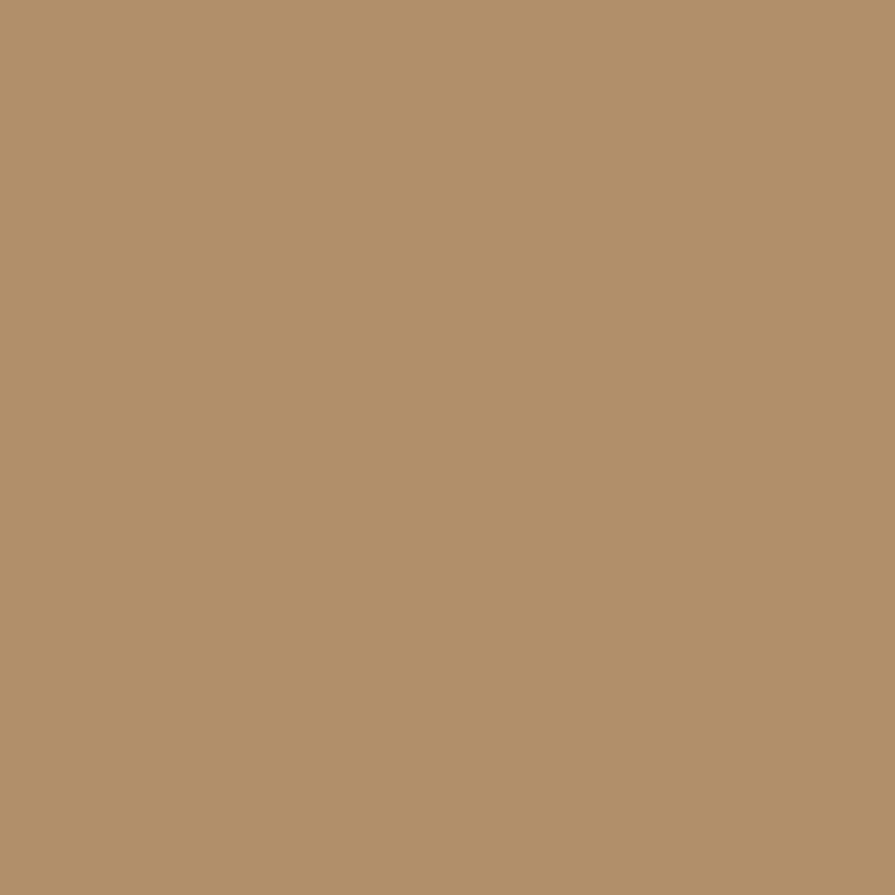 Pantone TPG Sheet 15-1040 Iced Coffee