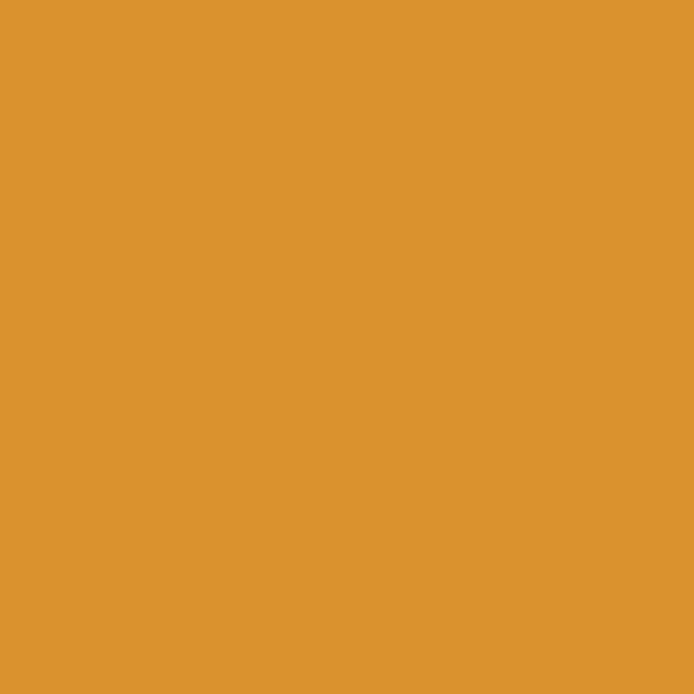 Pantone TPG Sheet 15-1045 Autumn Blaze