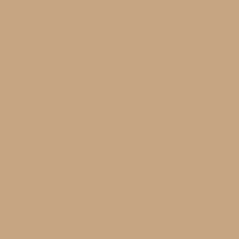 Pantone TPG Sheet 15-1220 Latte