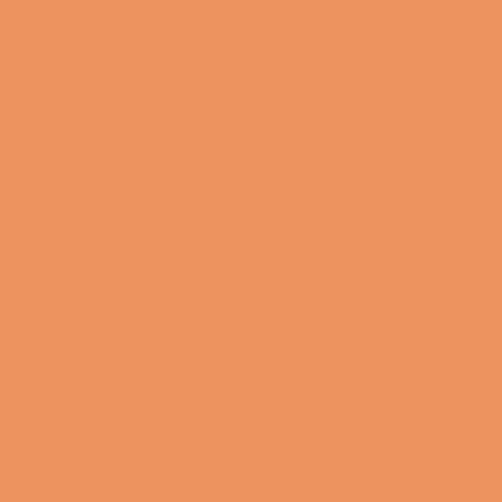 Pantone TPG Sheet 15-1242 Muskmelon