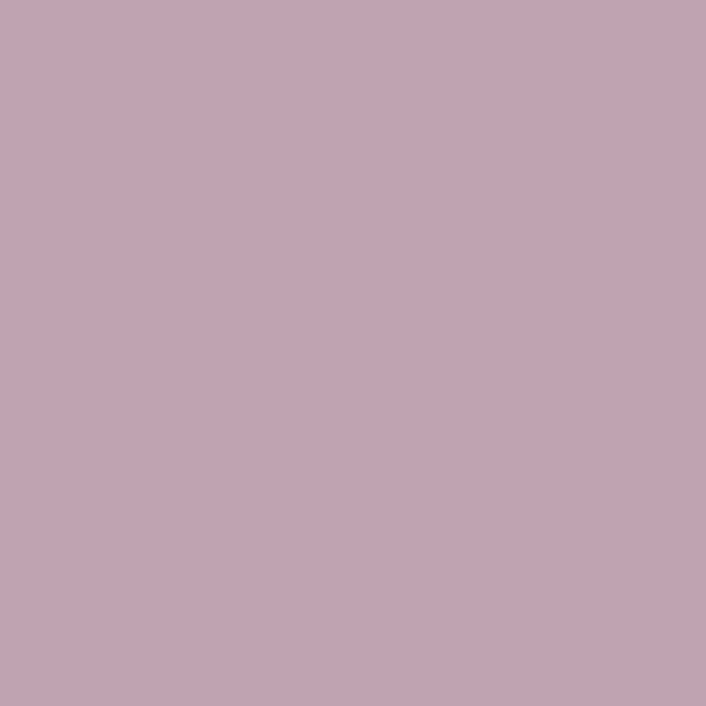 Pantone TPG Sheet 15-2205 Dawn Pink