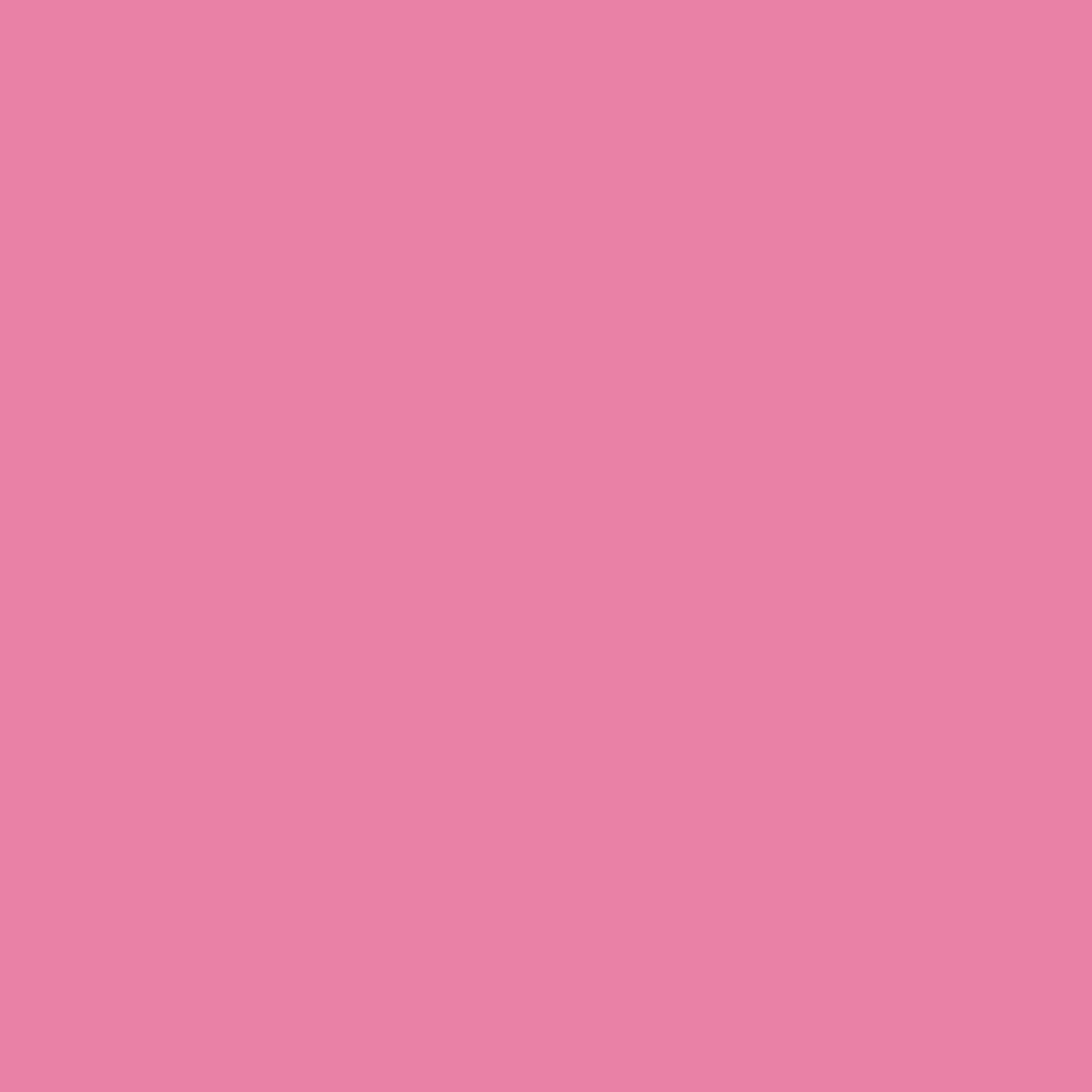 Pantone TPG Sheet 15-2217 Aurora Pink
