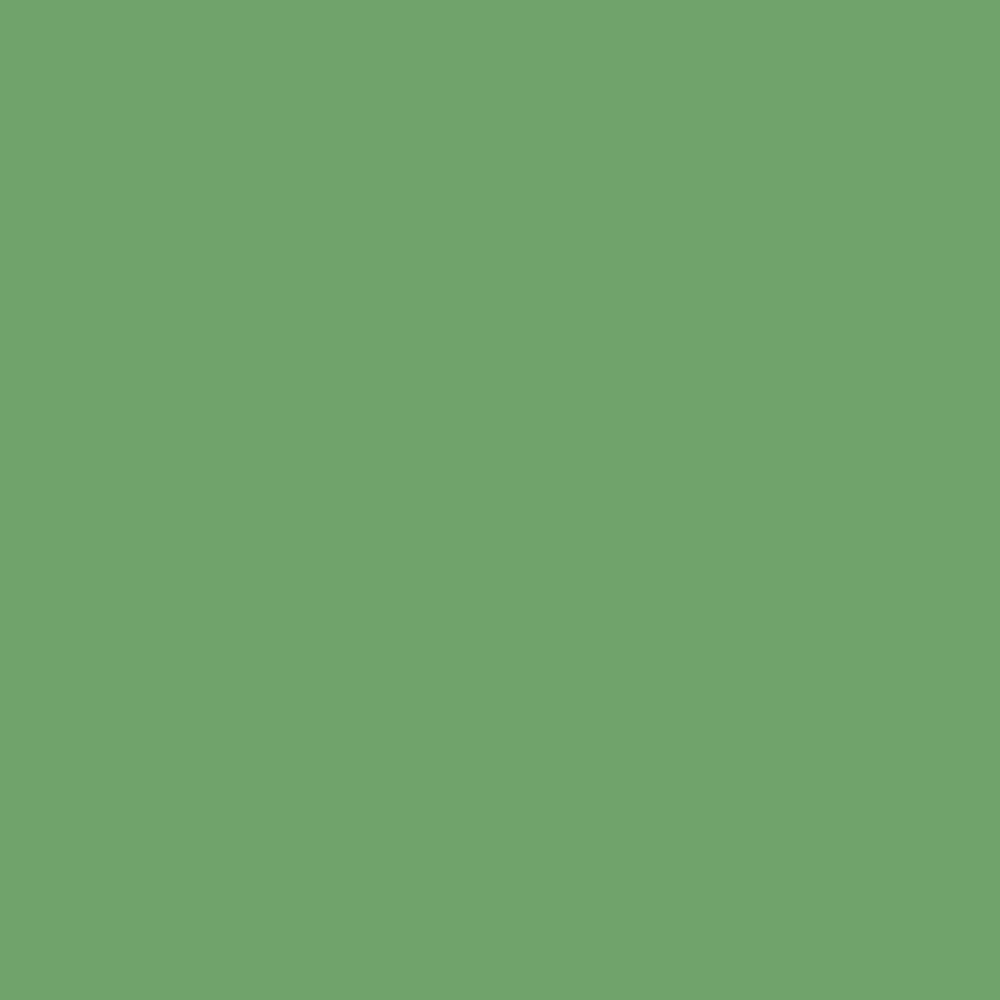 Pantone TPG Sheet 15-6432 Shamrock