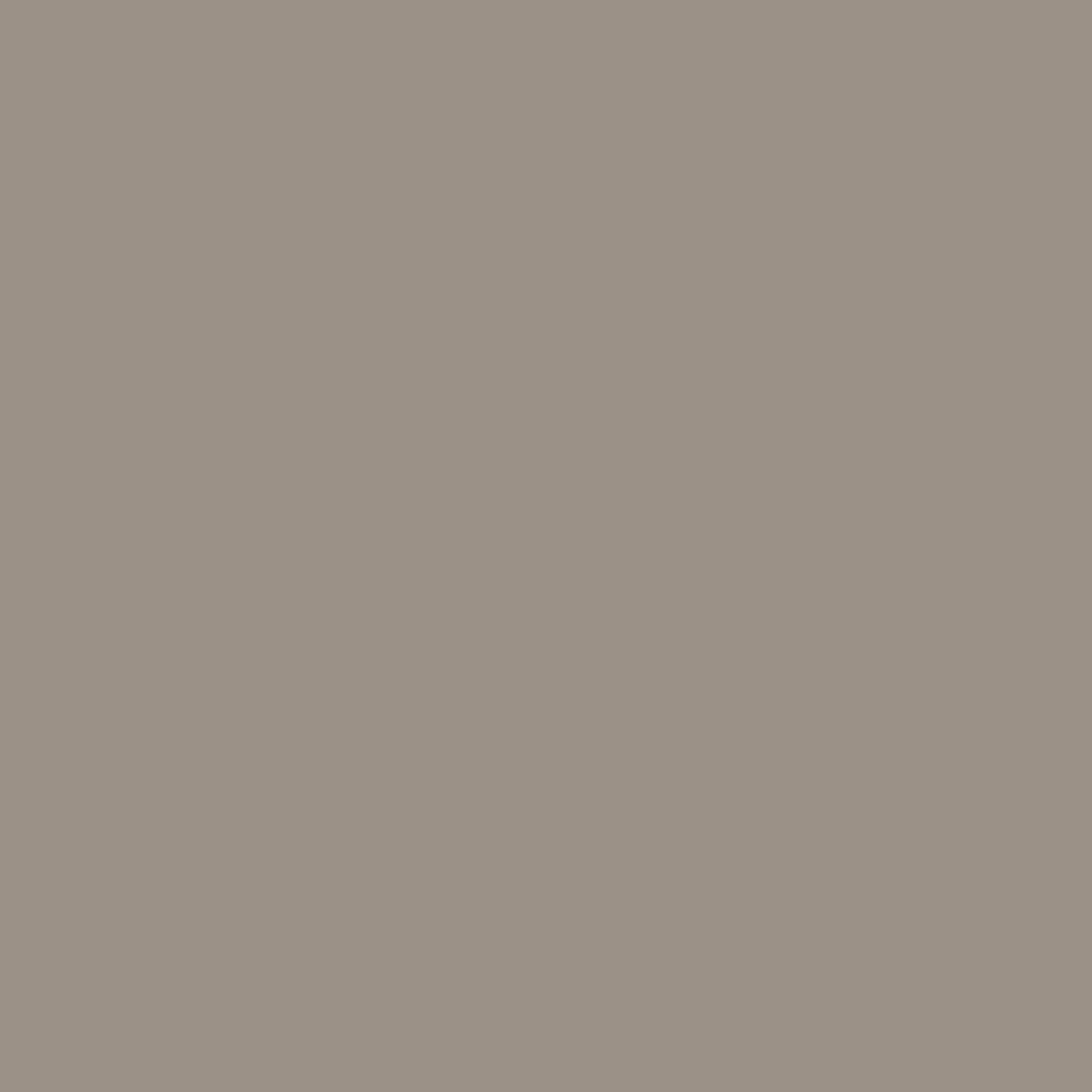 Pantone TPG Sheet 16-0205 Vintage Khaki