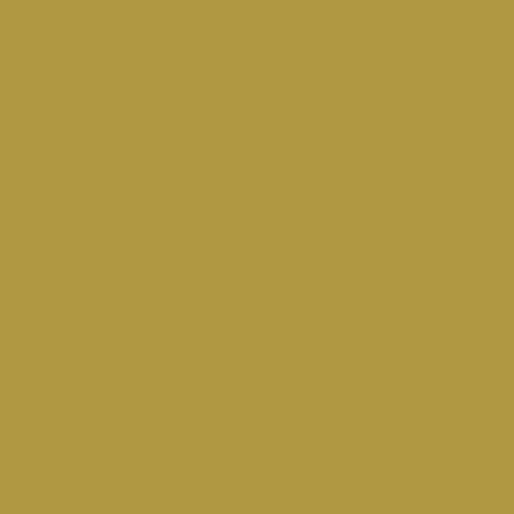 Pantone TPG Sheet 16-0639 Golden Olive