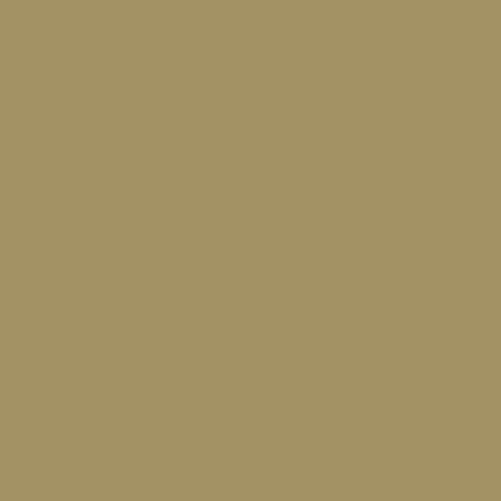 Pantone TPG Sheet 16-0726 Khaki