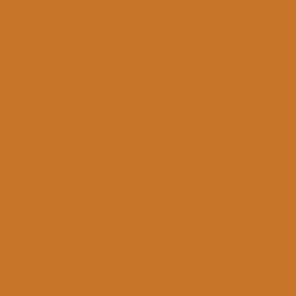 Pantone TPG Sheet 16-1149 Desert Sun