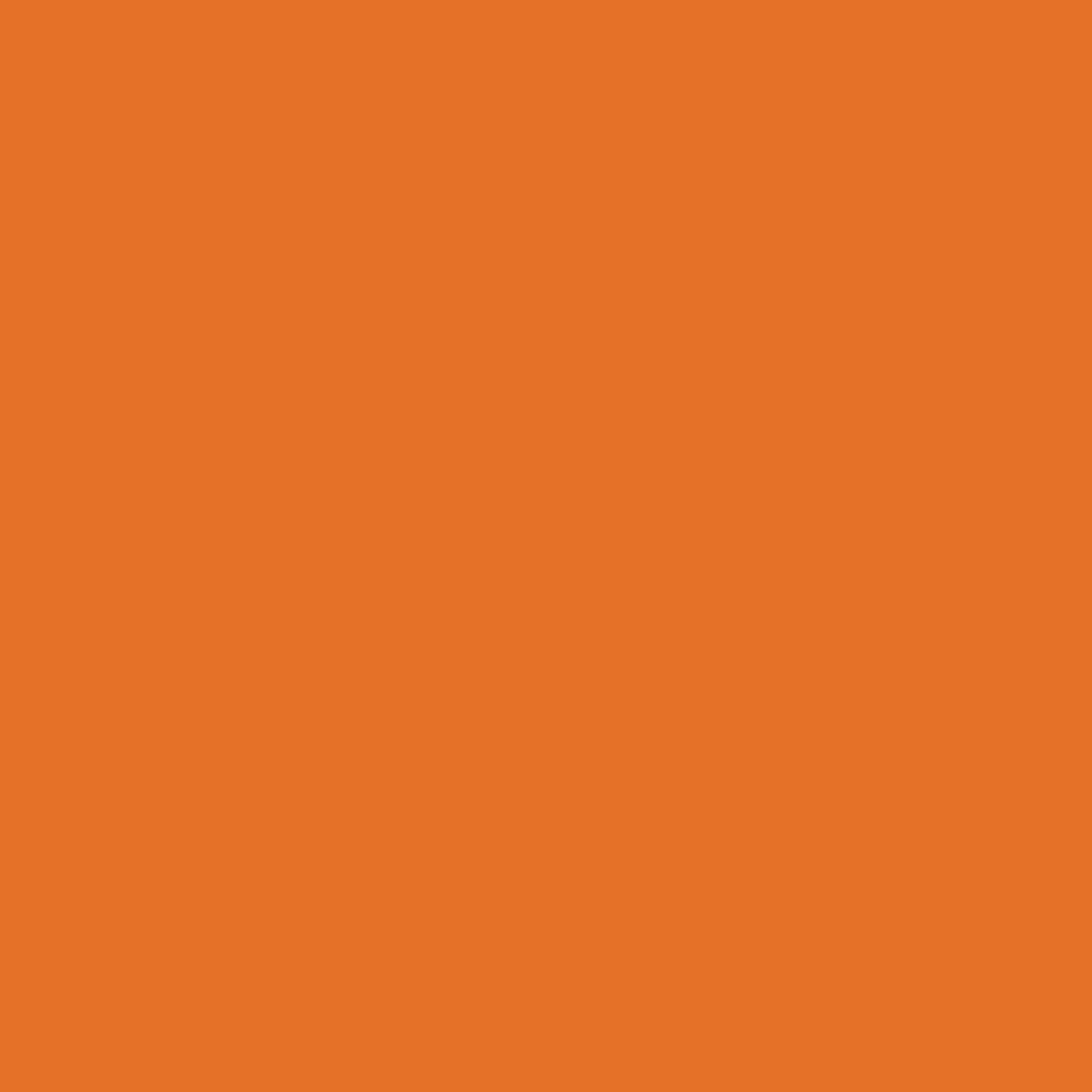 Pantone TPG Sheet 16-1255 Russet Orange