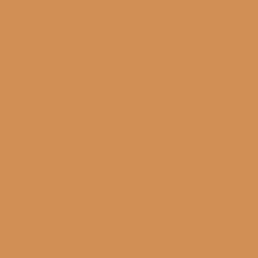 Pantone TPG Sheet 16-1342 Buckskin