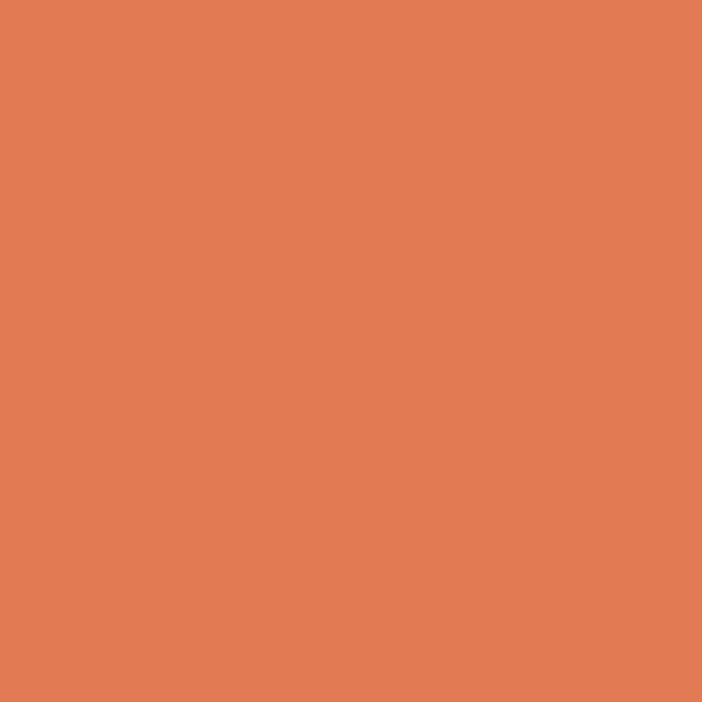 Pantone TPG Sheet 16-1344 Dusty Orange