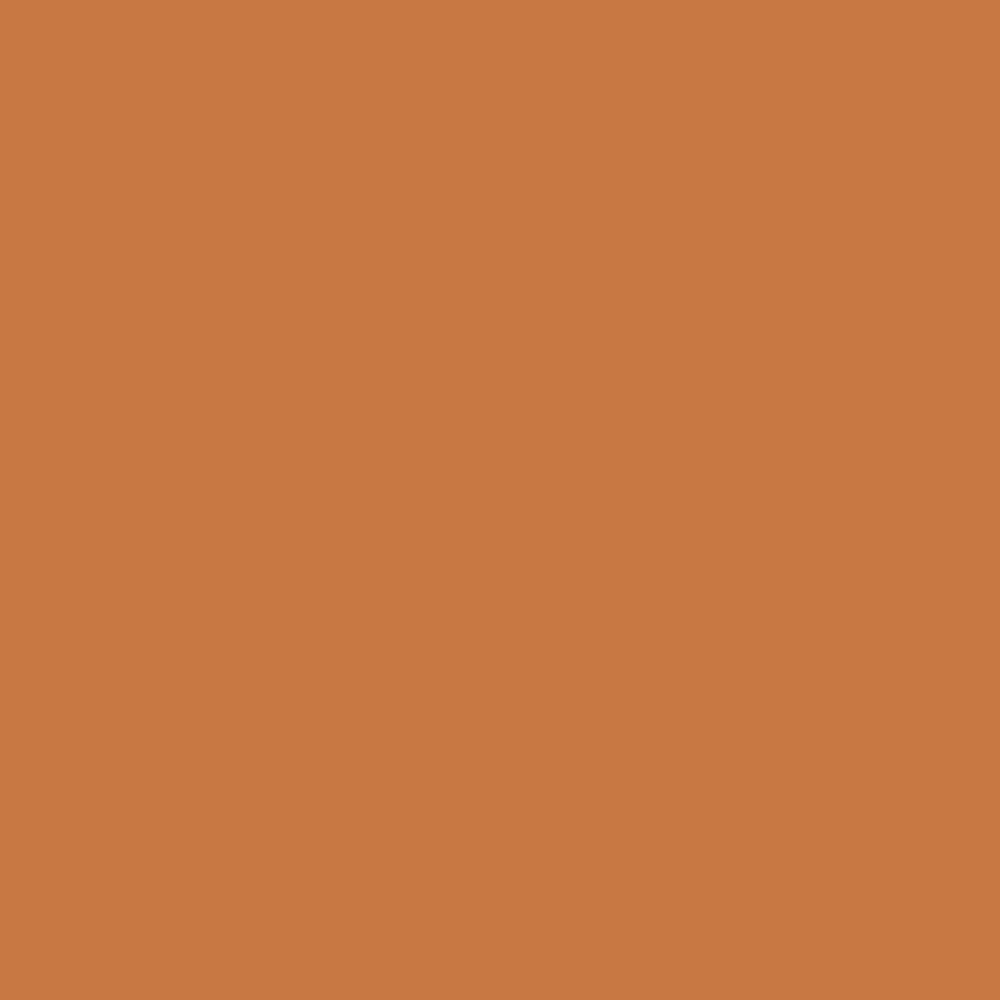 Pantone TPG Sheet 16-1346 Golden Ochre