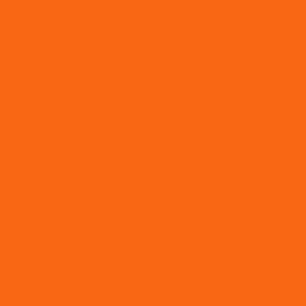 Pantone TPG Sheet 16-1358 Orange Tiger