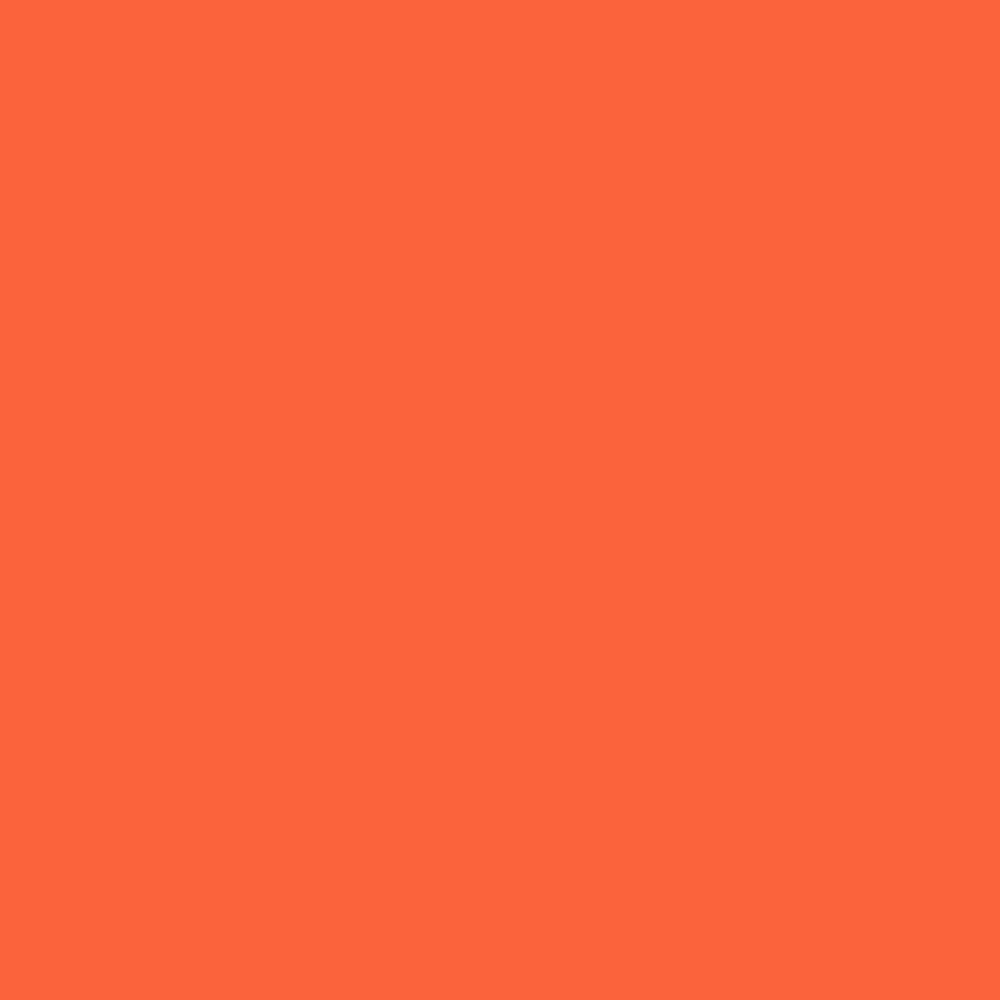 Pantone TPG Sheet 16-1362 Verm Orange