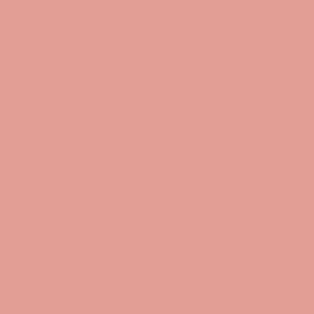 Pantone TPG Sheet 16-1434 Coral Almond