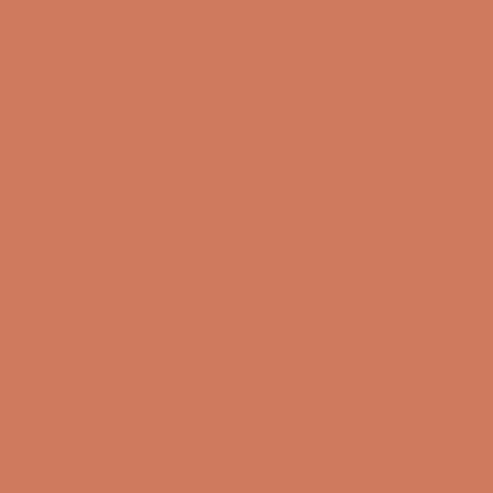 Pantone TPG Sheet 16-1435 Carnelian