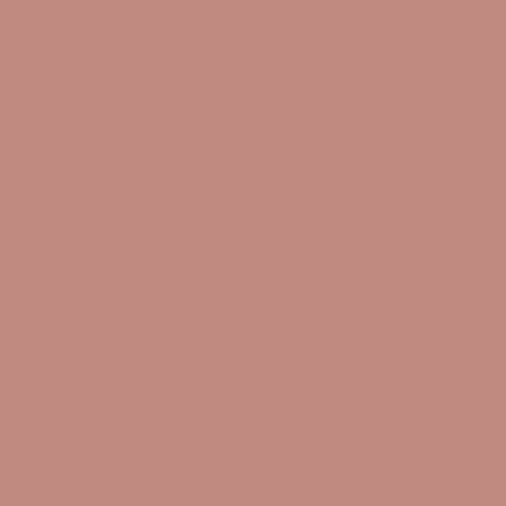 Pantone TPG Sheet 16-1516 Cameo Brown