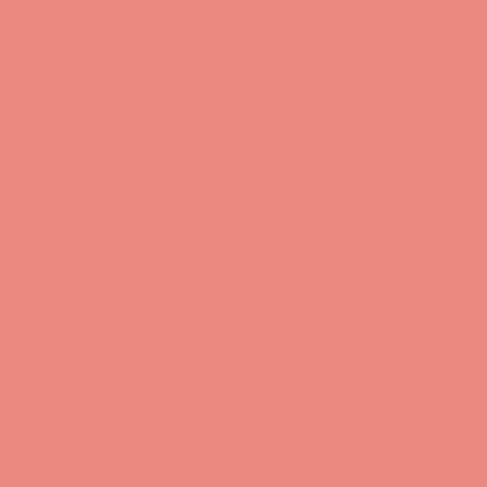 Pantone TPG Sheet 16-1529 Burnt Coral