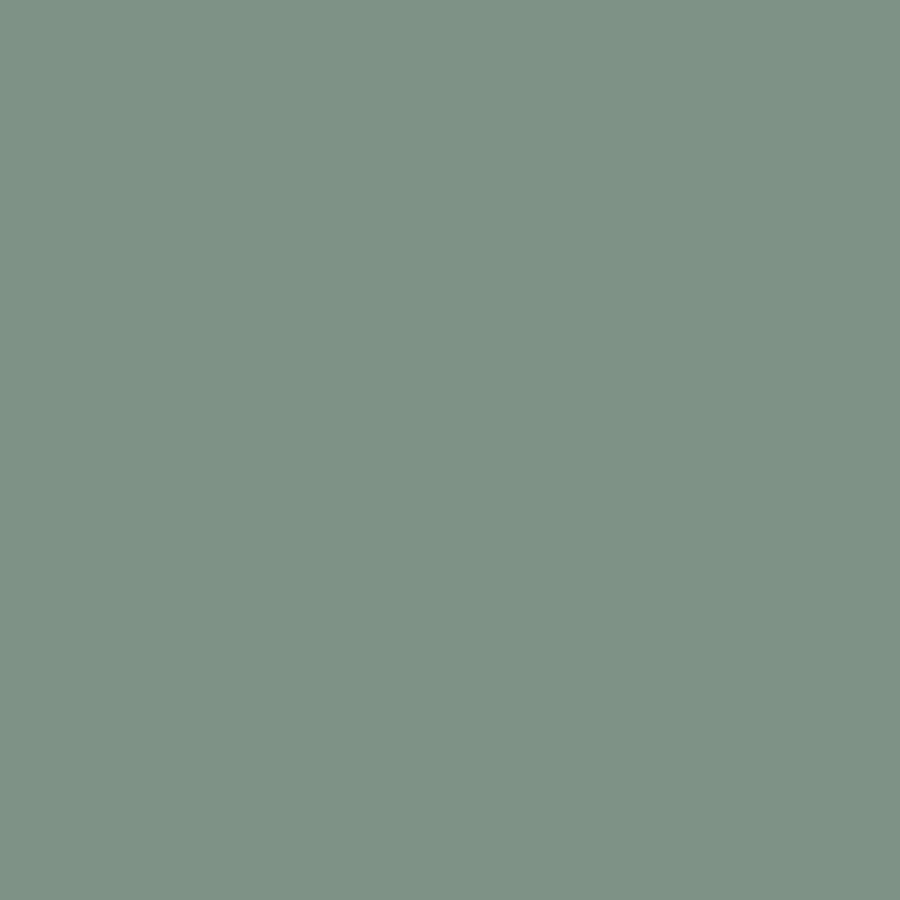 Pantone TPG Sheet 16-5810 Green Bay