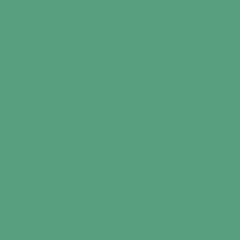 Pantone TPG Sheet 16-5820 Green Spruce